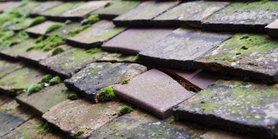 Locking roof repair costs